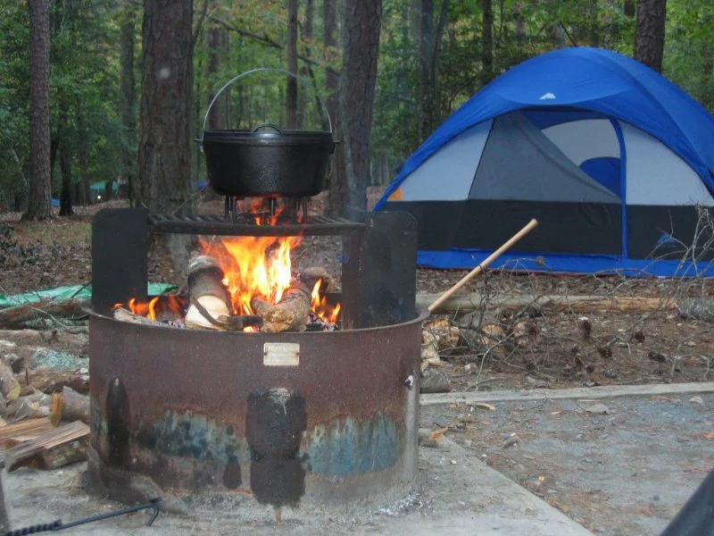Understanding Campsite Reservation Systems: Recreation.gov, Reserve America, and More