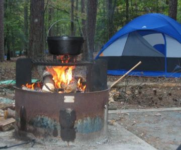 Understanding Campsite Reservation Systems: Recreation.gov, Reserve America, and More