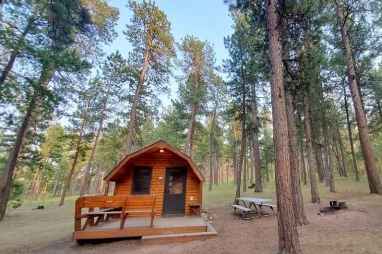 Camping in the Black Hills: South Dakota's Custer State Park