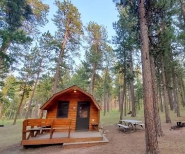 Camping in the Black Hills: South Dakota's Custer State Park