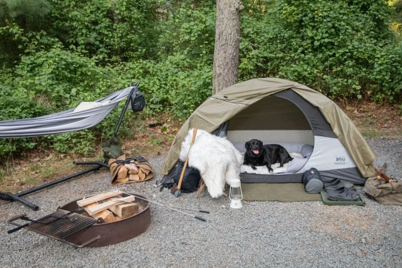 How to Find Pet-Friendly Campgrounds for Your Outdoor Adventure