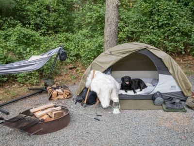 How to Find Pet-Friendly Campgrounds for Your Outdoor Adventure