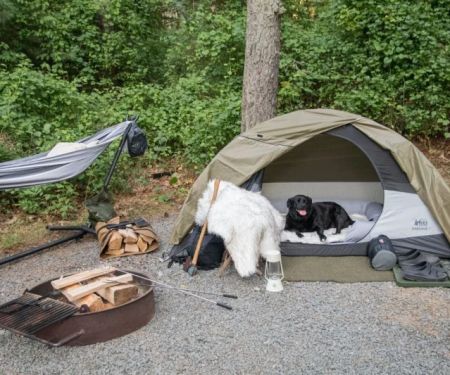 How to Find Pet-Friendly Campgrounds for Your Outdoor Adventure