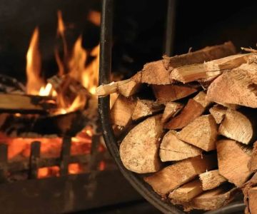 Ultimate Guide to Choosing Firewood and Campfires | Tips for Campers