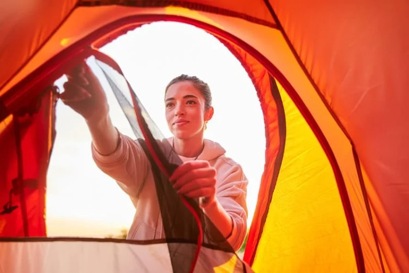 How to Make Sure Your Tent or Cabin is Bug-Free on Your Next Trip