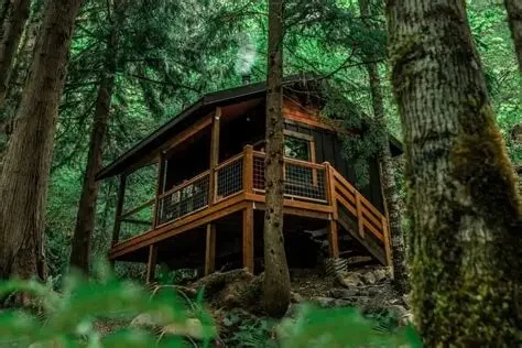 Best Places for Secluded Cabin Camping in the US
