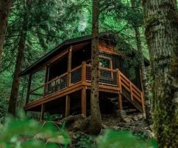 Best Places for Secluded Cabin Camping in the US