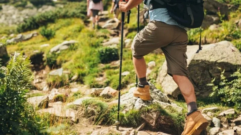 How to Choose Hiking Trails That Match Your Skill Level