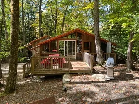The Best Eco-Friendly Campsites with Cabin Rentals in the US