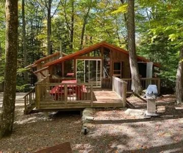 The Best Eco-Friendly Campsites with Cabin Rentals in the US