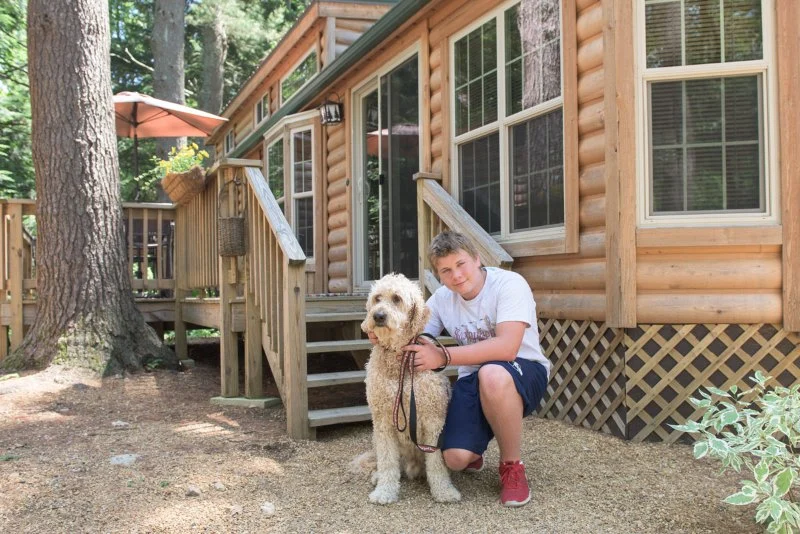 The Best Pet‑Friendly Camping Cabins for a Vacation With Your Dog