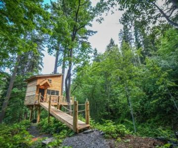 How to Find a Secluded Cabin for Meditation and Relaxation