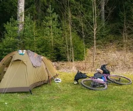 How to Camp Overnight Without Internet: Stay Connected or Unplug
